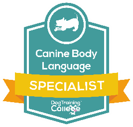 dtc Dog Training College